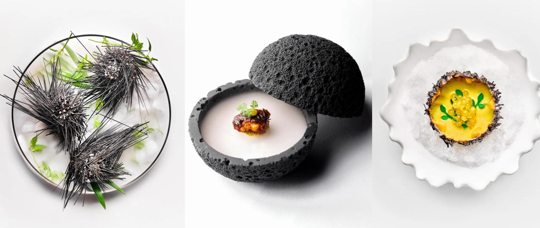 Haoma - second image