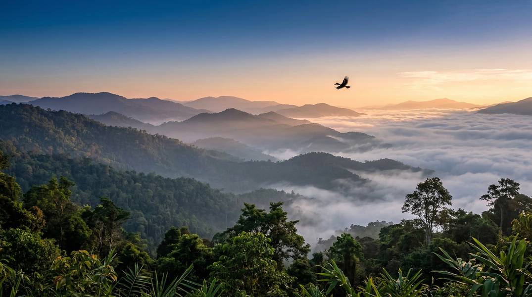 Kaeng Krachan National Park