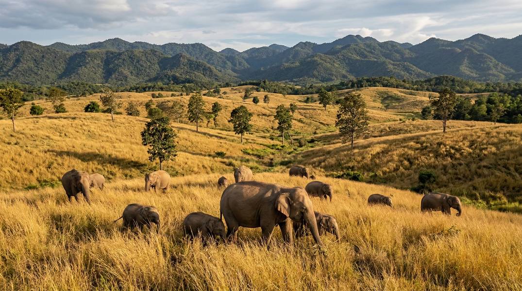 Kui Buri National Park